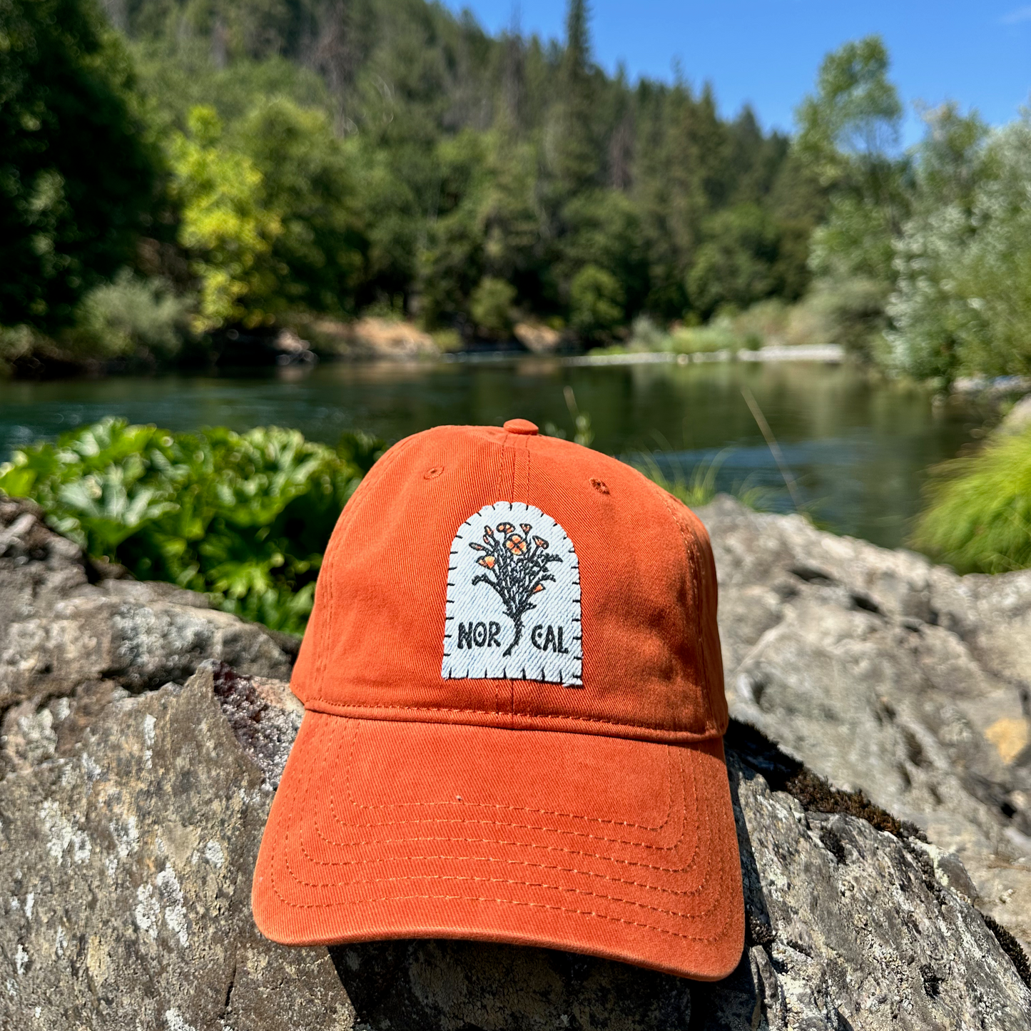 NorCal Poppies Dad Hat